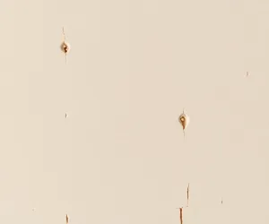 Czy płyty gk trzeba szpachlować przed malowaniem